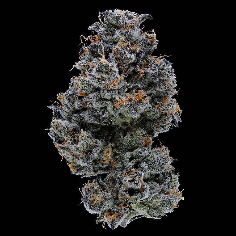 Blue Face